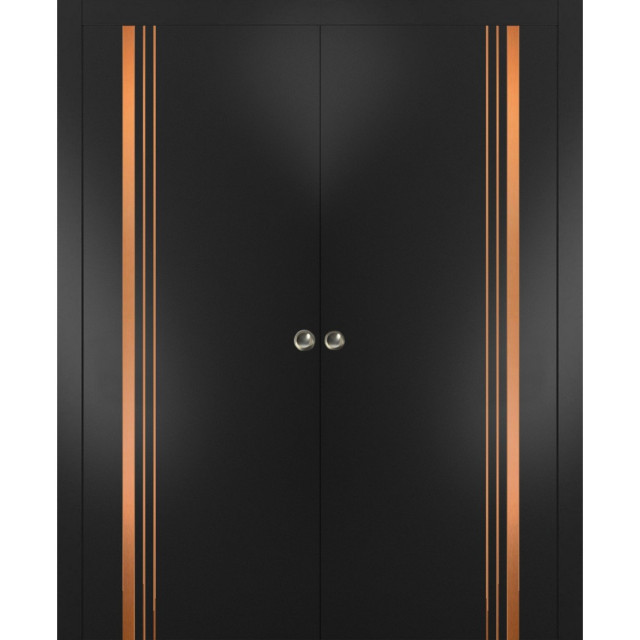 French Double Pocket Doors | Planum 1010 Matte Black with | Kit Trims ...