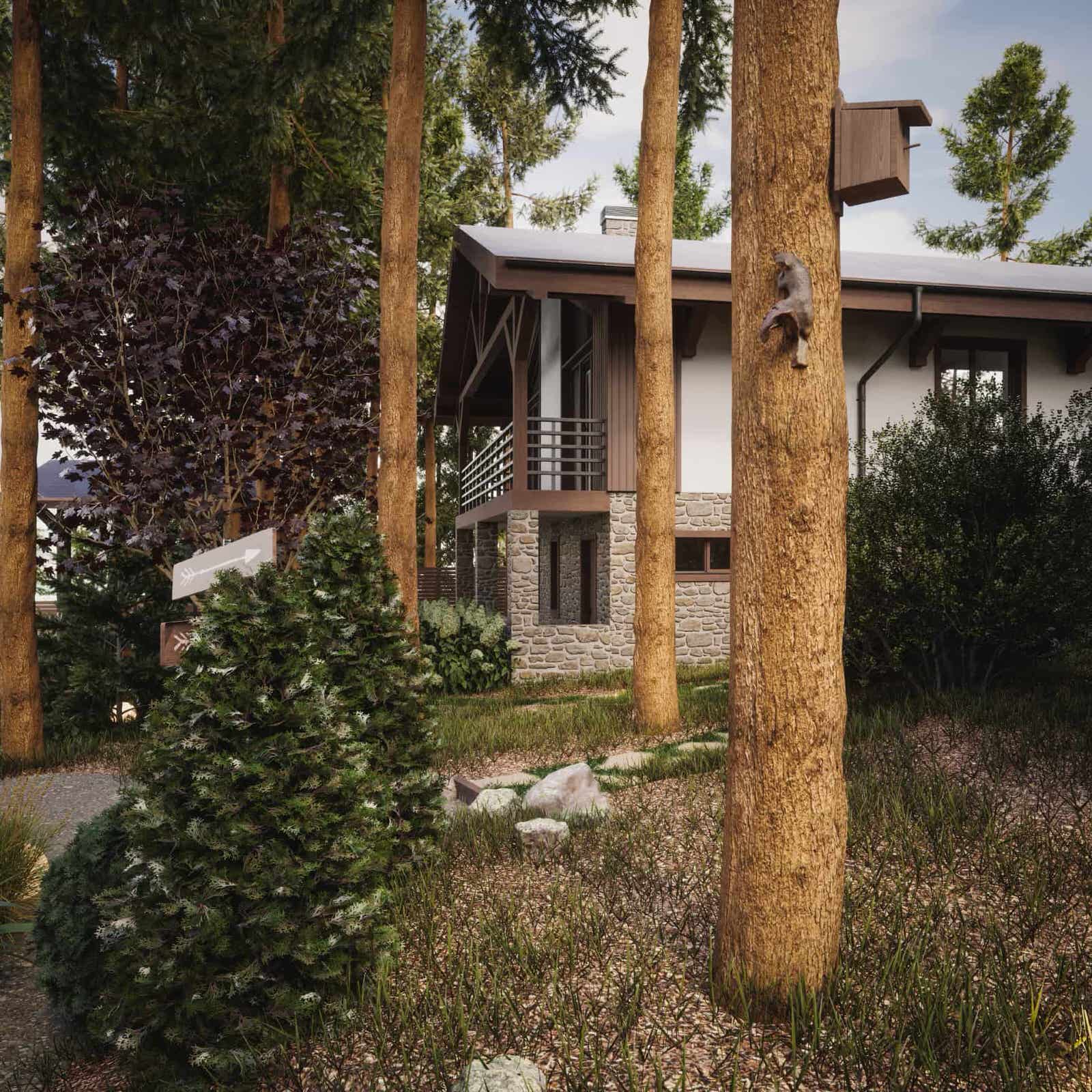 Лесные просторы