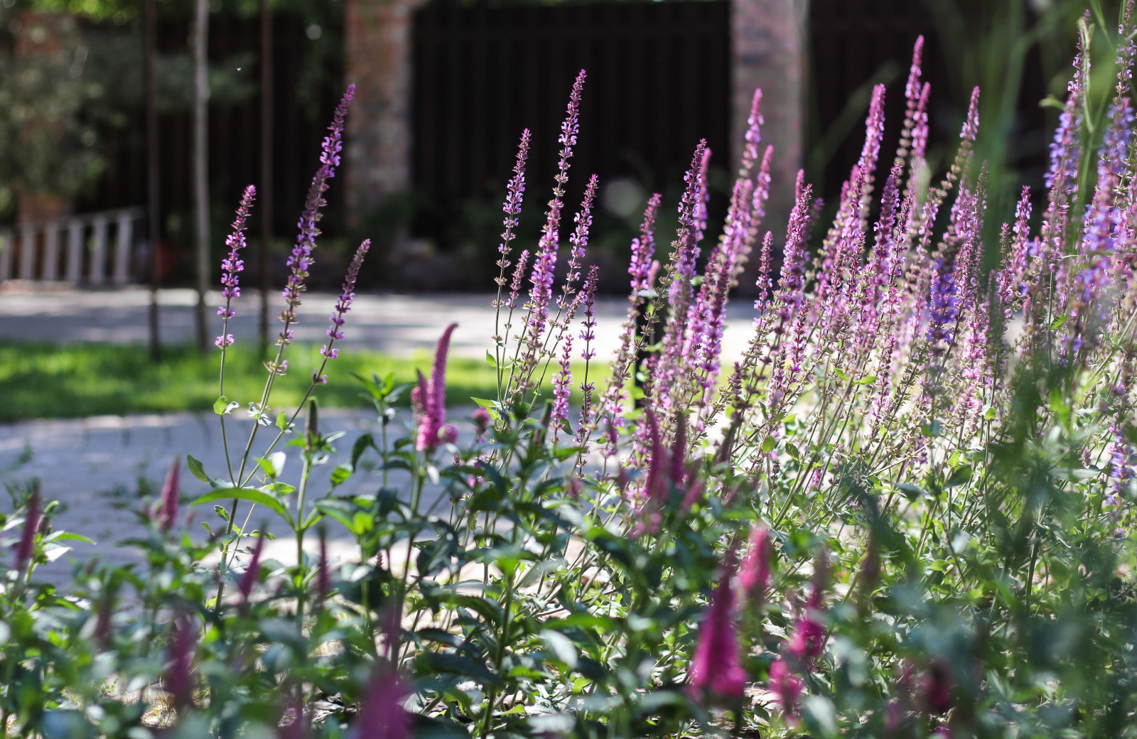 пос.Малая Царевщина