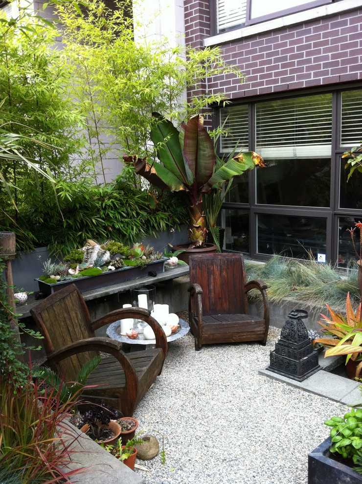 This is an example of a tropical courtyard garden in Vancouver.