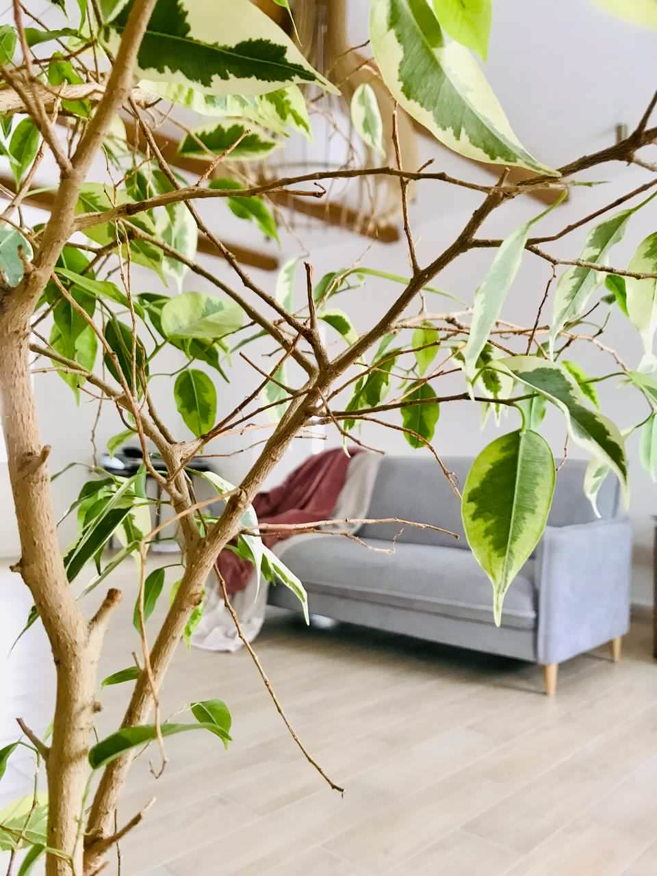 Загородный дом