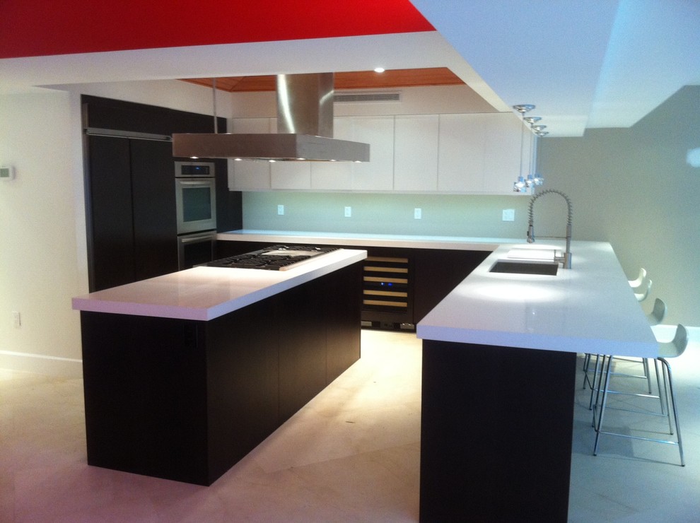 This is an example of a contemporary kitchen in Miami.