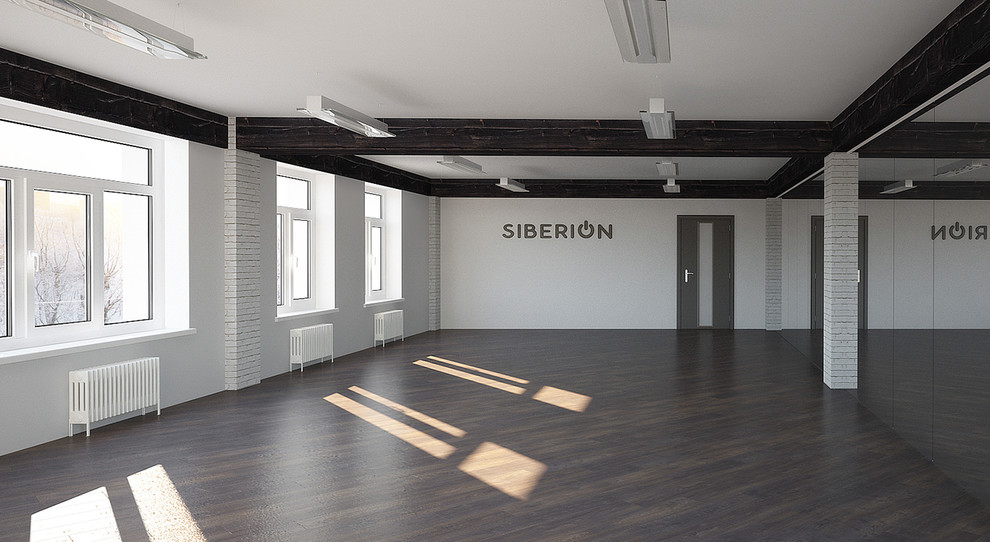 Siberion dance center 400 м2