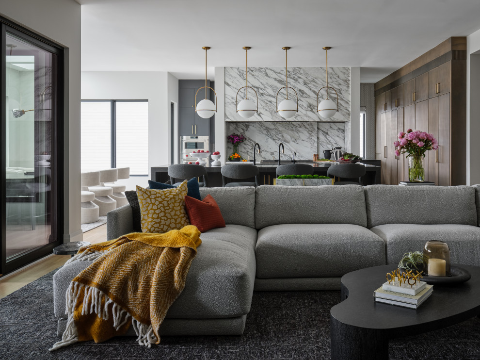 Urban to Suburban - Contemporary - Living Room - Chicago - by Lauren ...