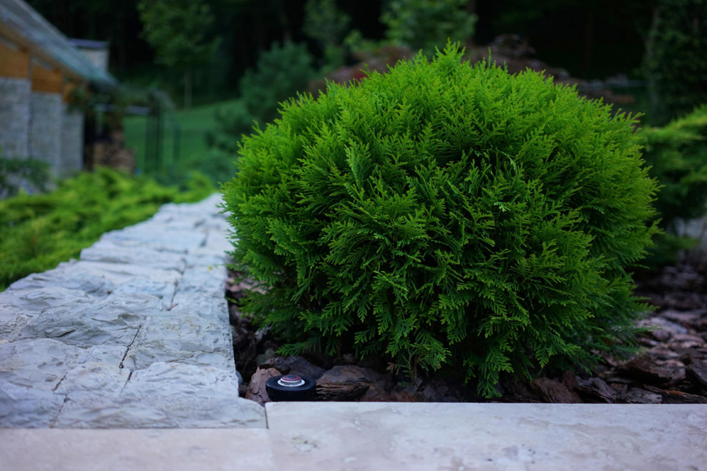 Лазурный Берег Сочи