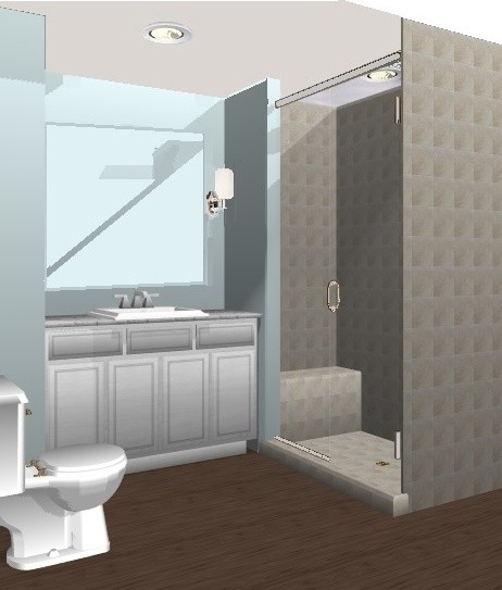 Bathroom update transitional-rendering
