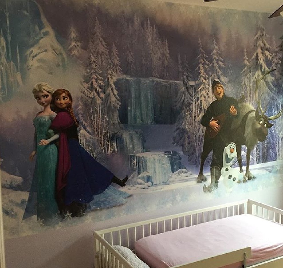 Frozen Bedroom - Photos \u0026 Ideas | Houzz, image size:990x938