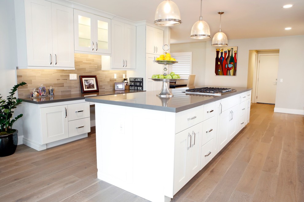 Kitchen - contemporary kitchen idea in Orange County