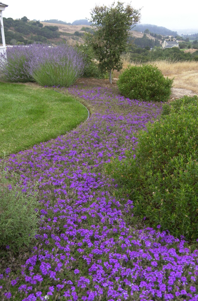 Inspiration for an expansive traditional full sun garden for spring in San Francisco with with flowerbed.