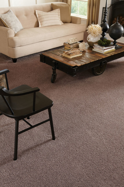Mohawk Carpet contemporary-vardagsrum