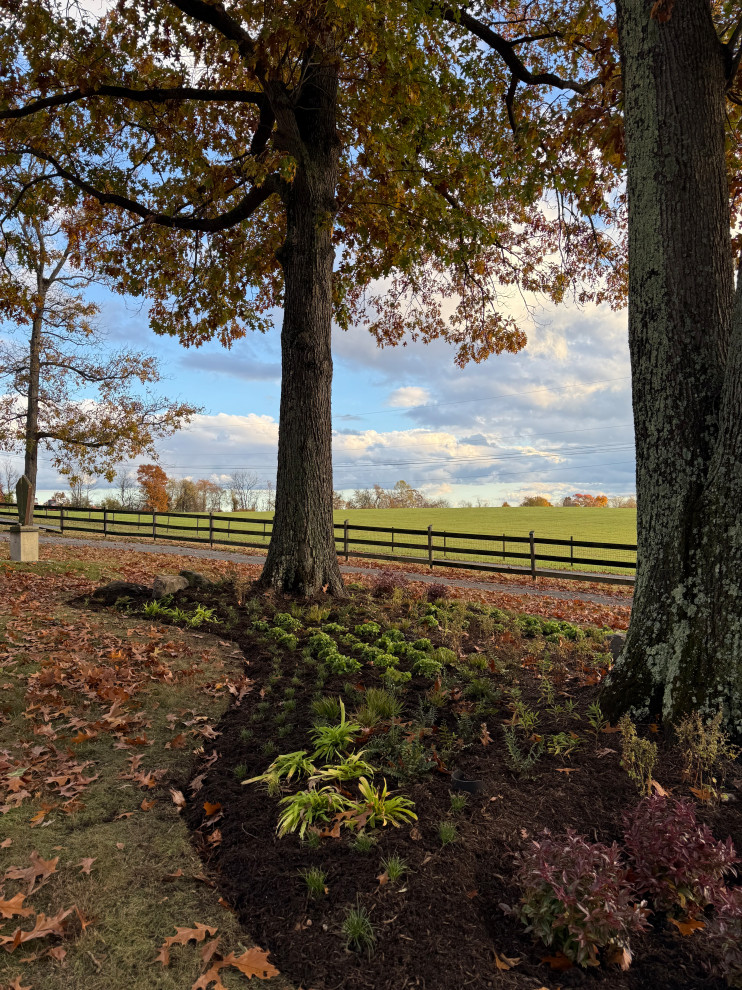 Impactful, serene and native entrance.