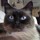 marie_surette