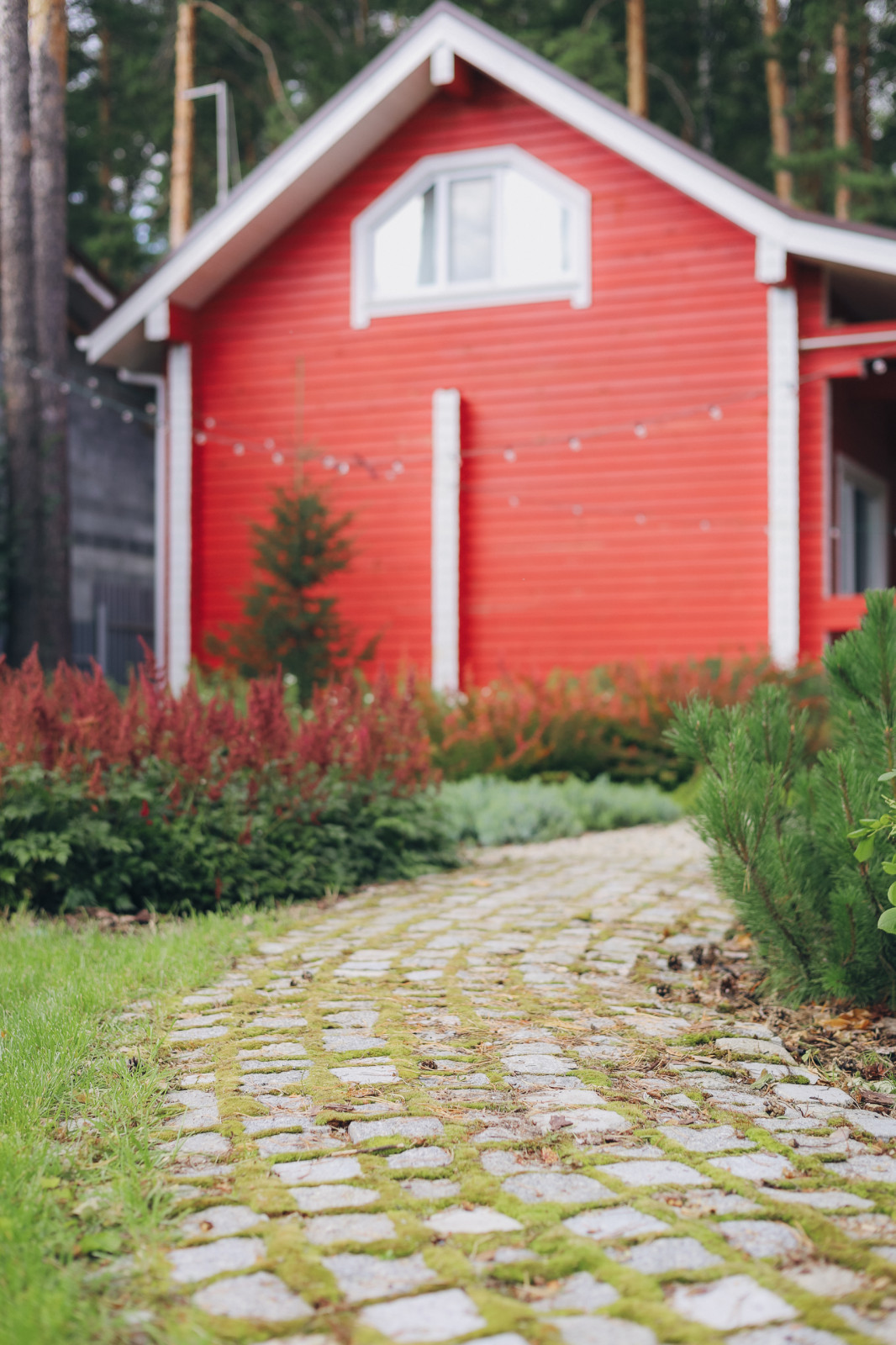 50 оттенков красного