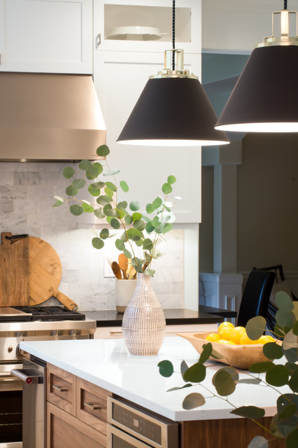 Kitchen Remodel clasico-renovado-cocina