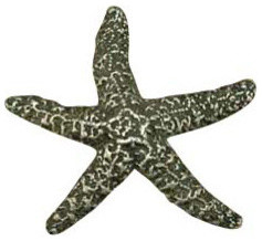 Starfish Knob, Brushed Natural Pewter