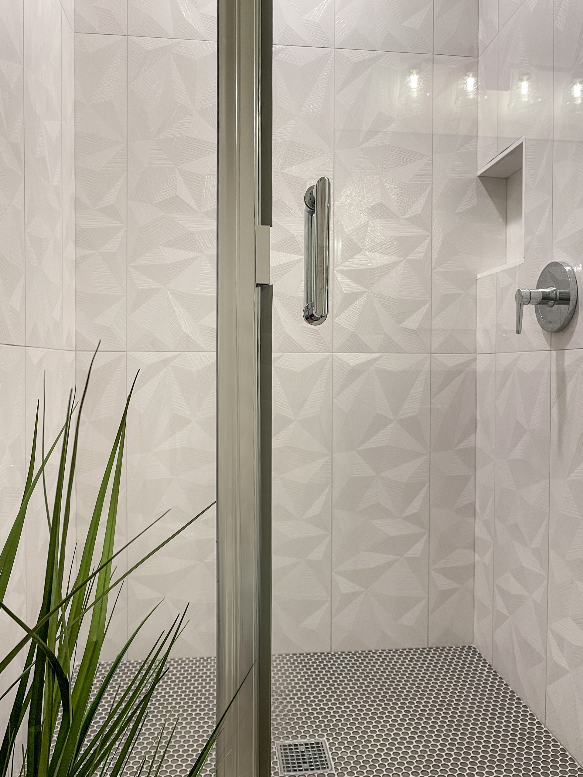 Silver Lake Renovation