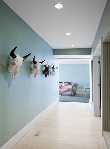 Photo of a large contemporary hallway in Salt Lake City with blue walls and light hardwood floors.