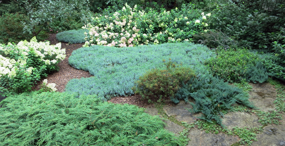 Не нужно бояться темноты