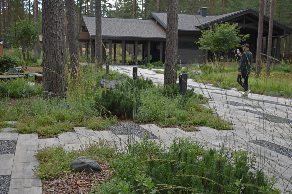 Проект "Волшебное озеро"