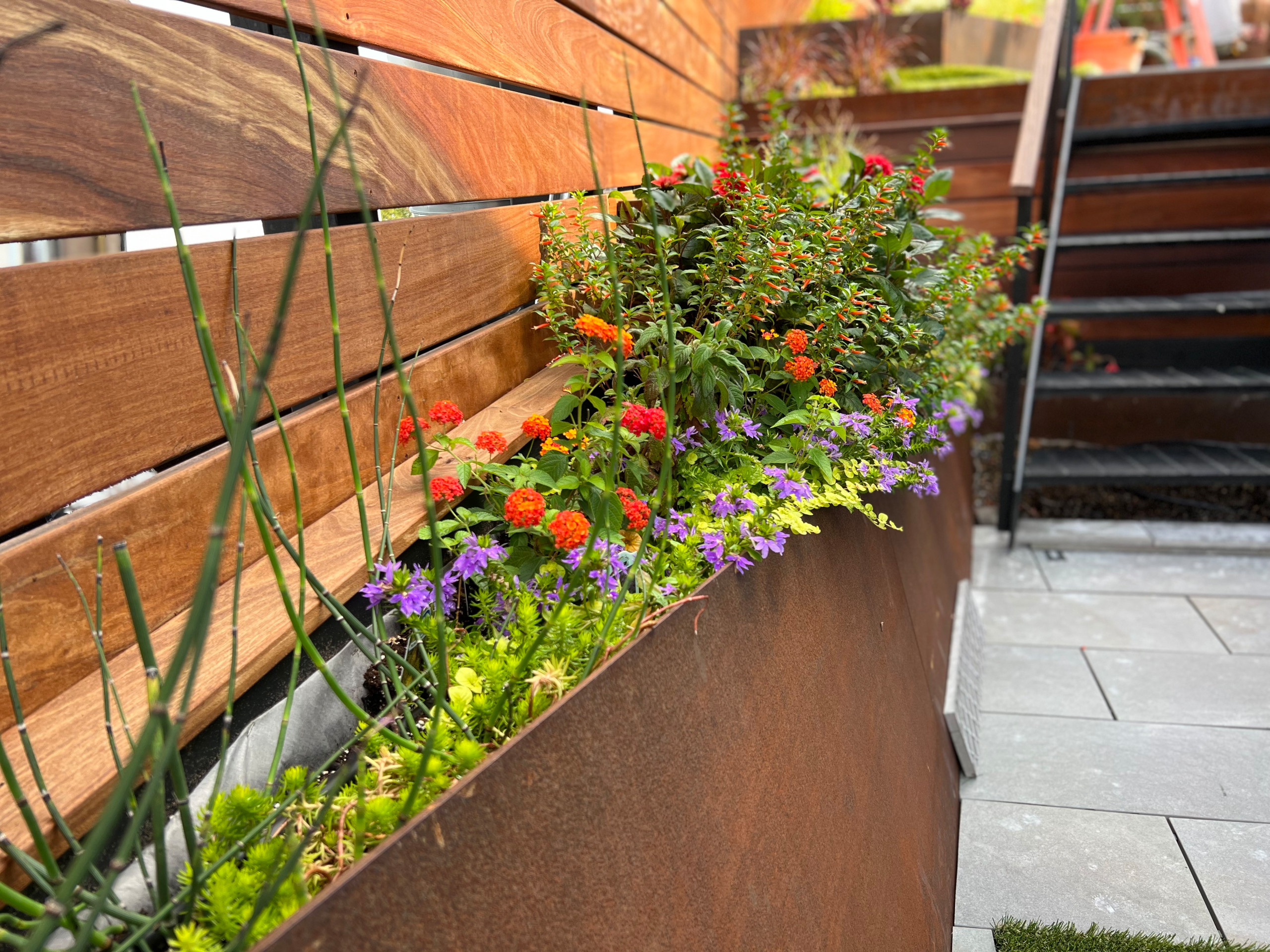 Borough Park Modern Rooftop