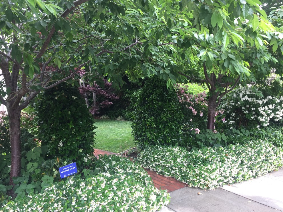 Hidden entry garden Landscape San Francisco by Heaven & Earth