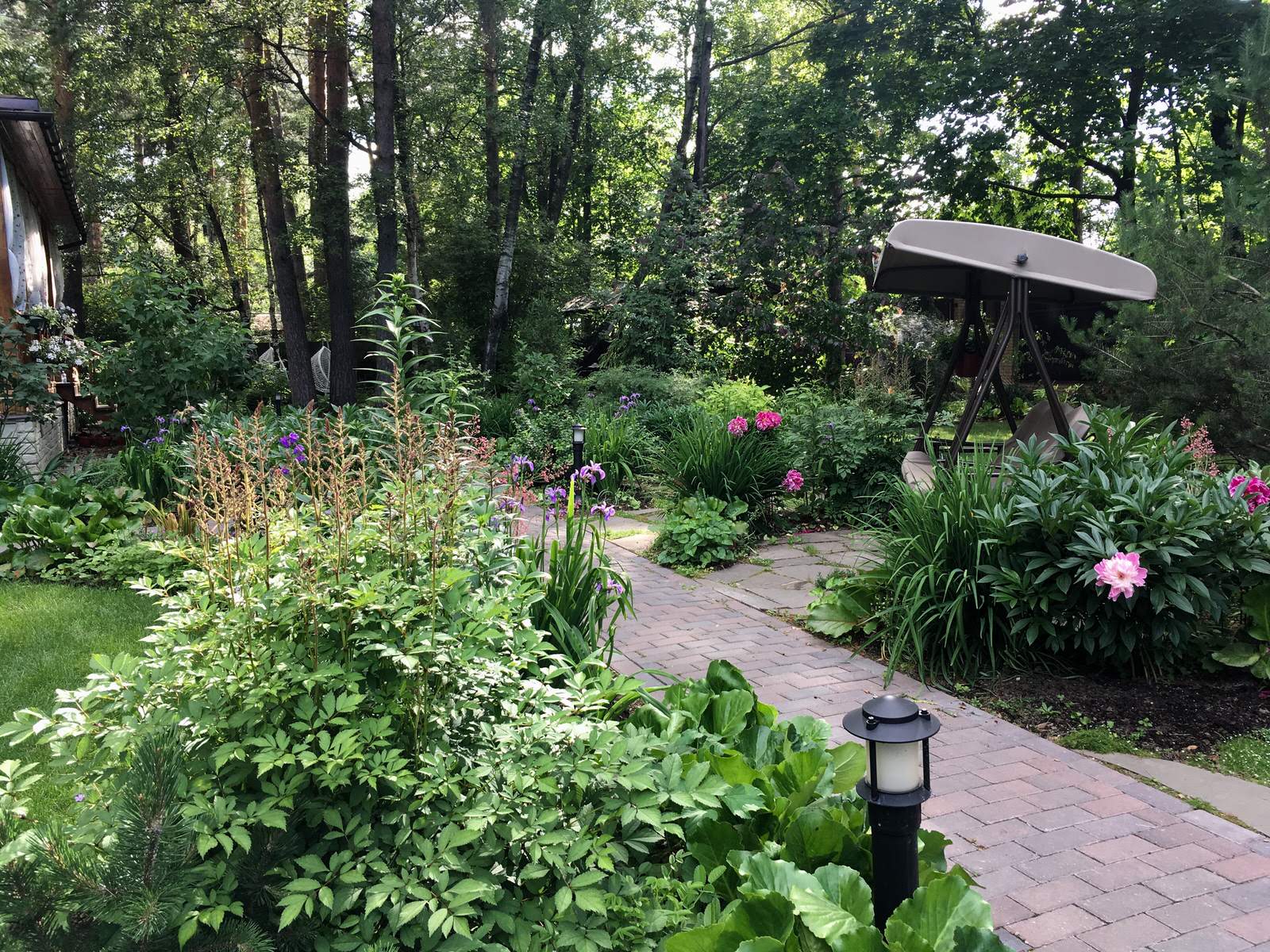 Белкин сад. Лето 2019