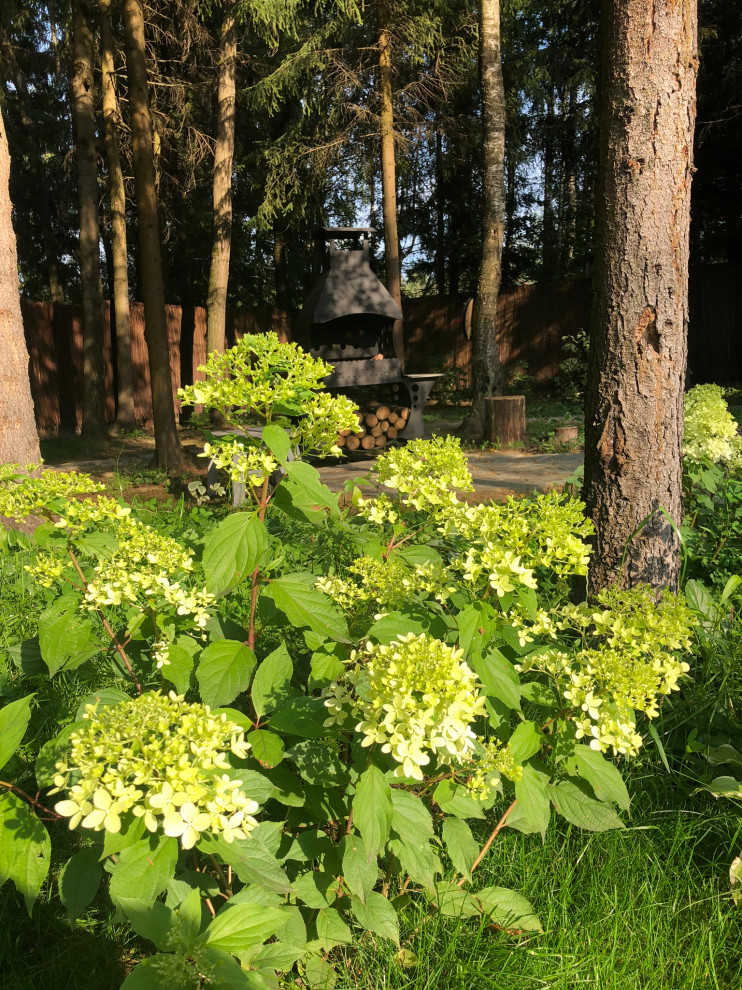 Сад "Хюгге" Пушкинский район МО