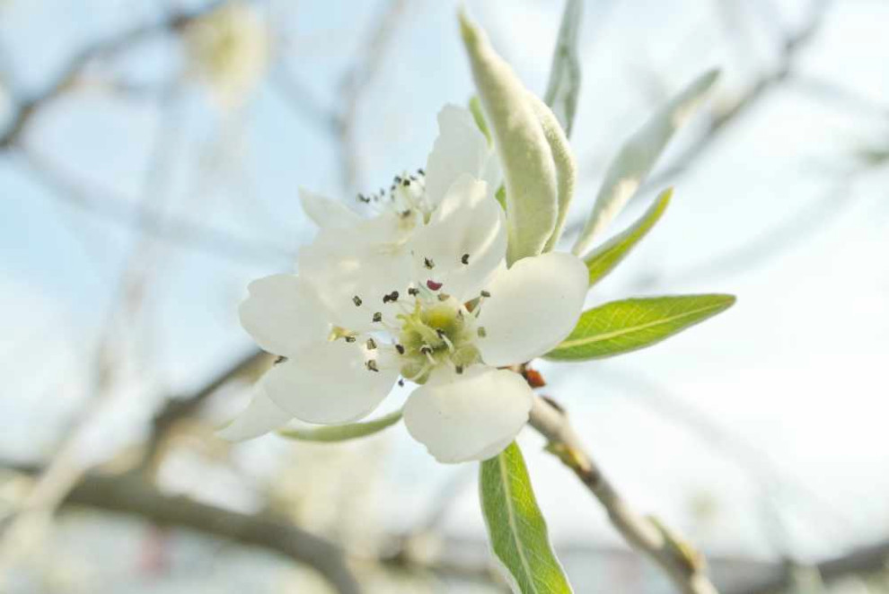 Reihenhausgarten im Retro-Chic