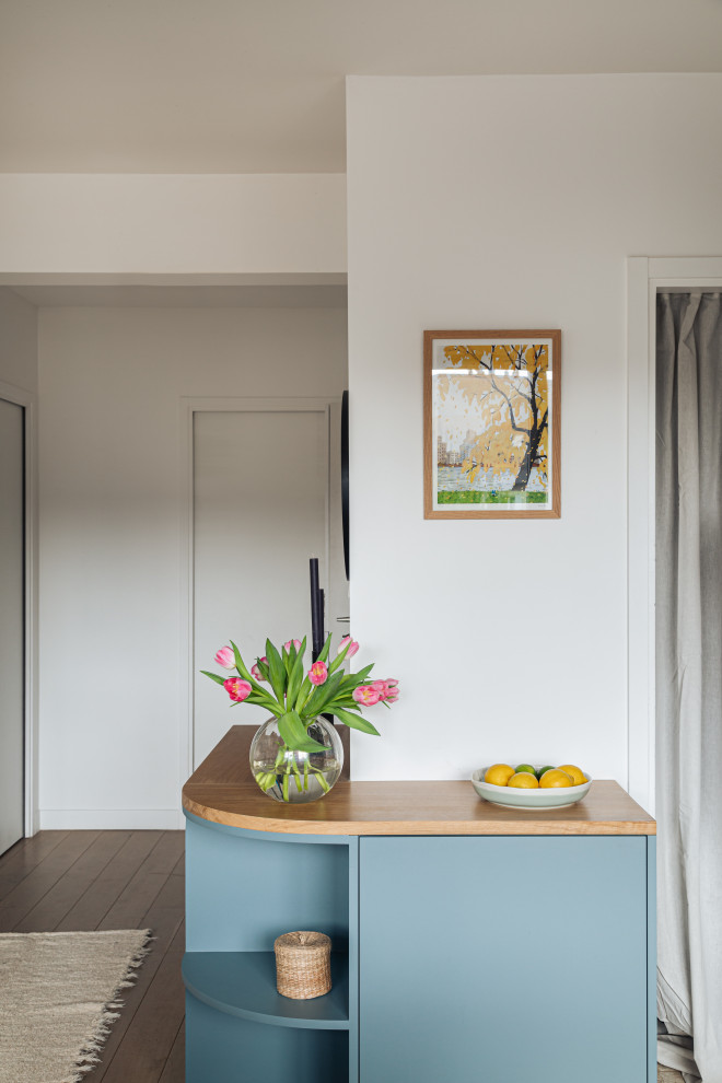 Bild på en mellanstor minimalistisk foajé, med blå väggar, ljust trägolv, en enkeldörr och mörk trädörr
