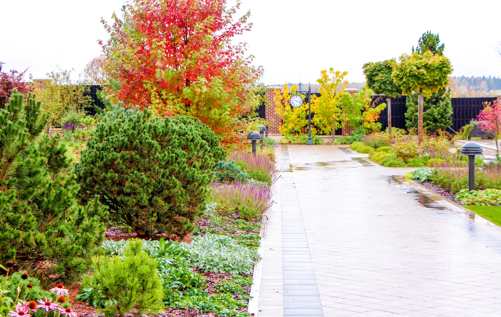 Горки-10, 2017-2020 г.г.