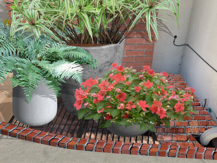 Foundation Plantings