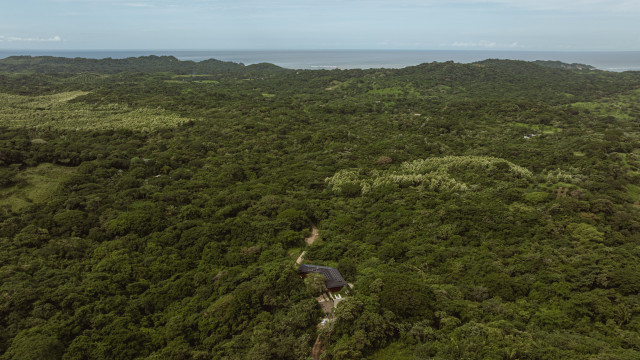 Villa Vidal tropical-exterior