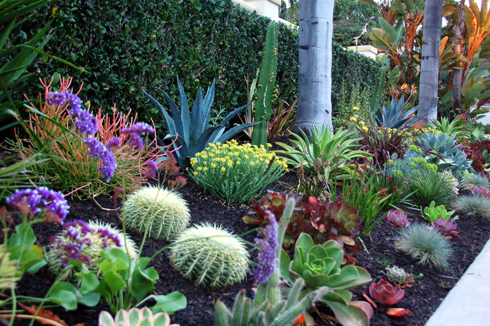 Inspiration for a mid-sized contemporary front yard full sun garden in Orange County.