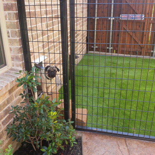Outdoor dog potty area with fencing and turf  
