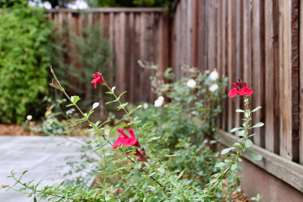Cosy San Carlos Backyard