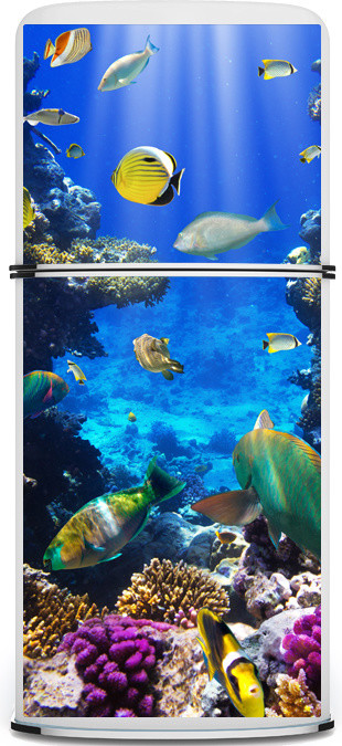 Underwater Refrigerator Magnet