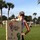 leonie_lelievre