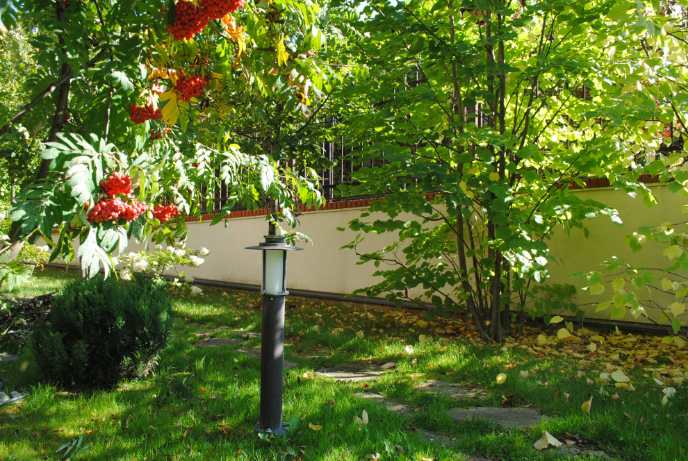 Осенний лес.Дмитровское шоссе