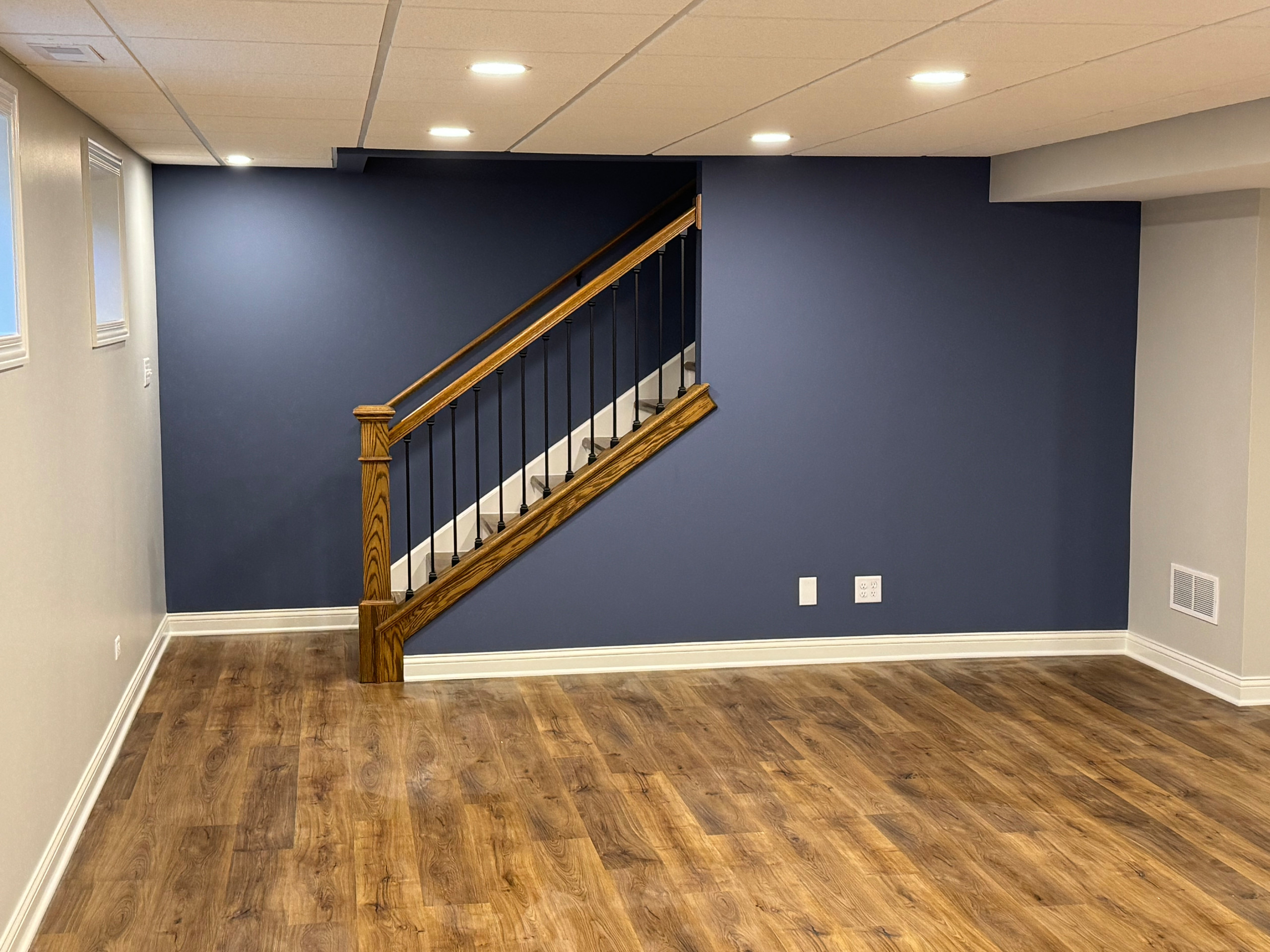 Tinley Park Full Basement Remodel