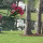 Last commented by TT nNaples