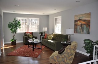 Olive Green Living Room Ideas Photos Houzz