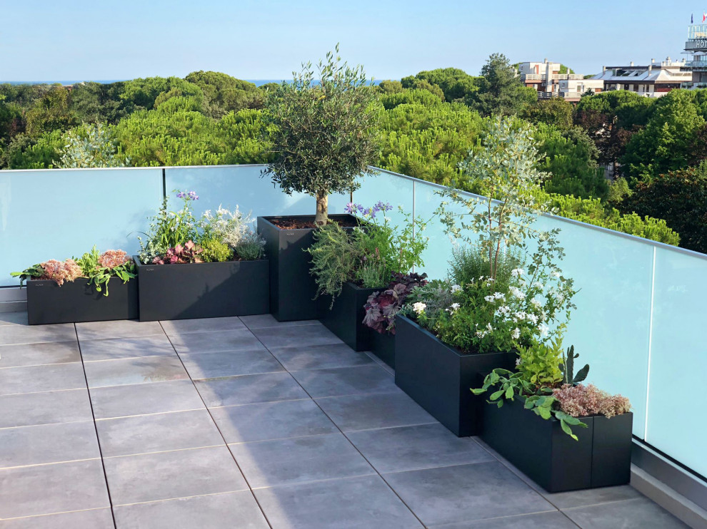 Immagine di una terrazza design di medie dimensioni con un giardino in vaso, nessuna copertura e parapetto in vetro