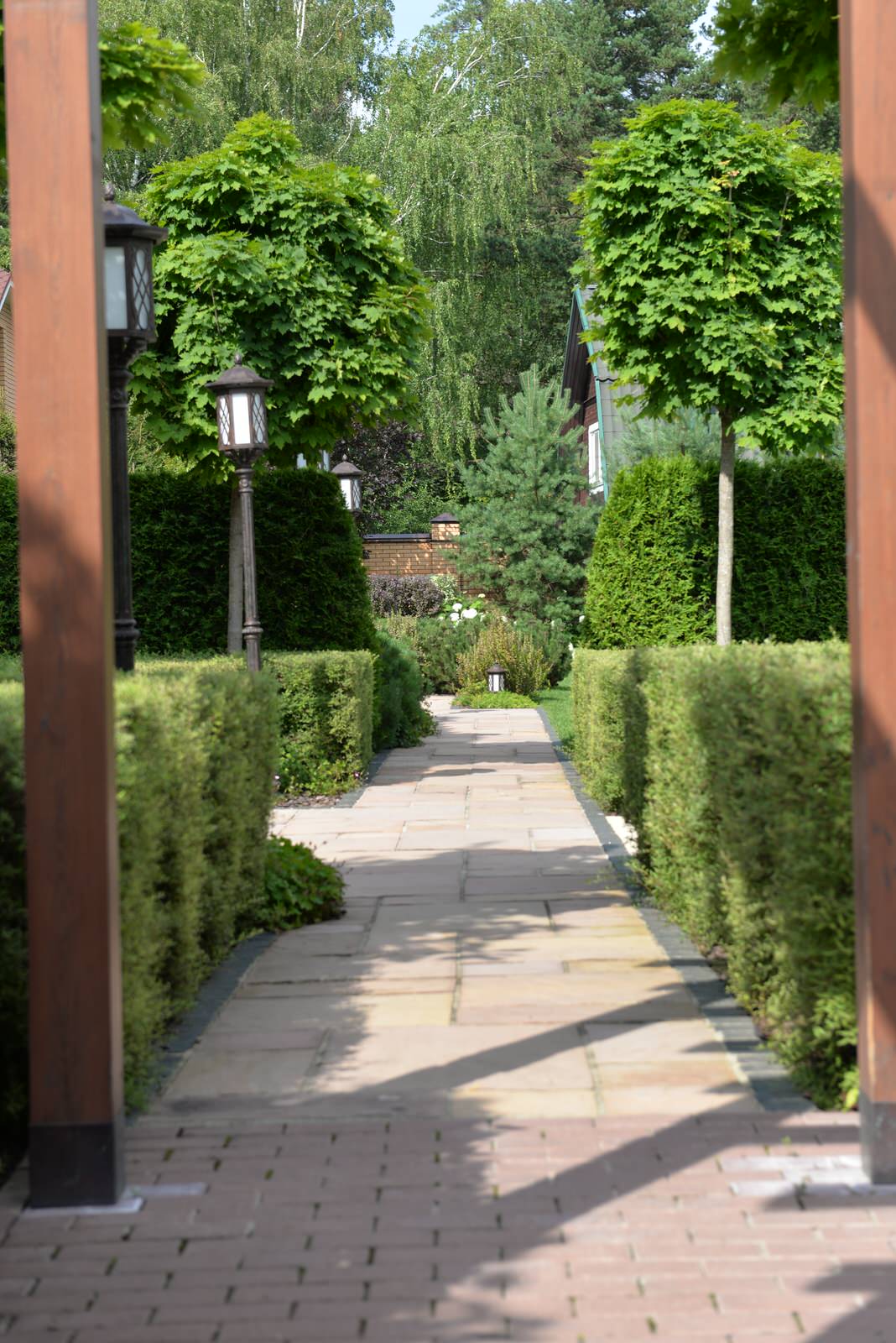 От знакомства до последнего цветника 6 месяцев