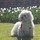 ruth_meneely