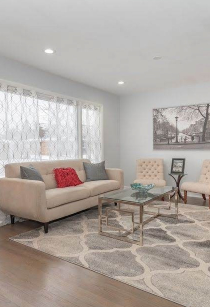 Contemporary Basement and Living Area Remodel