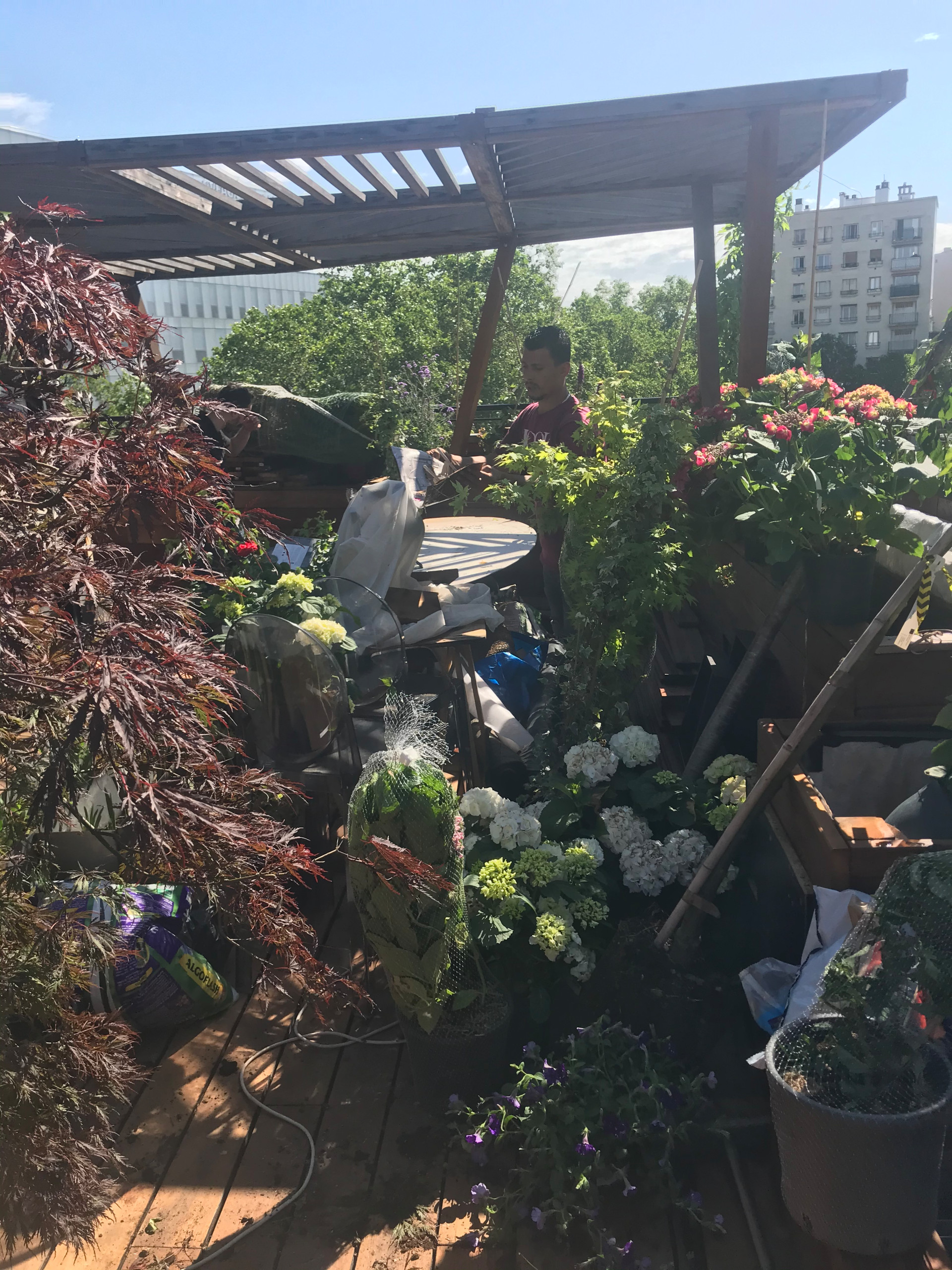 terrasse paysagée Boulogne