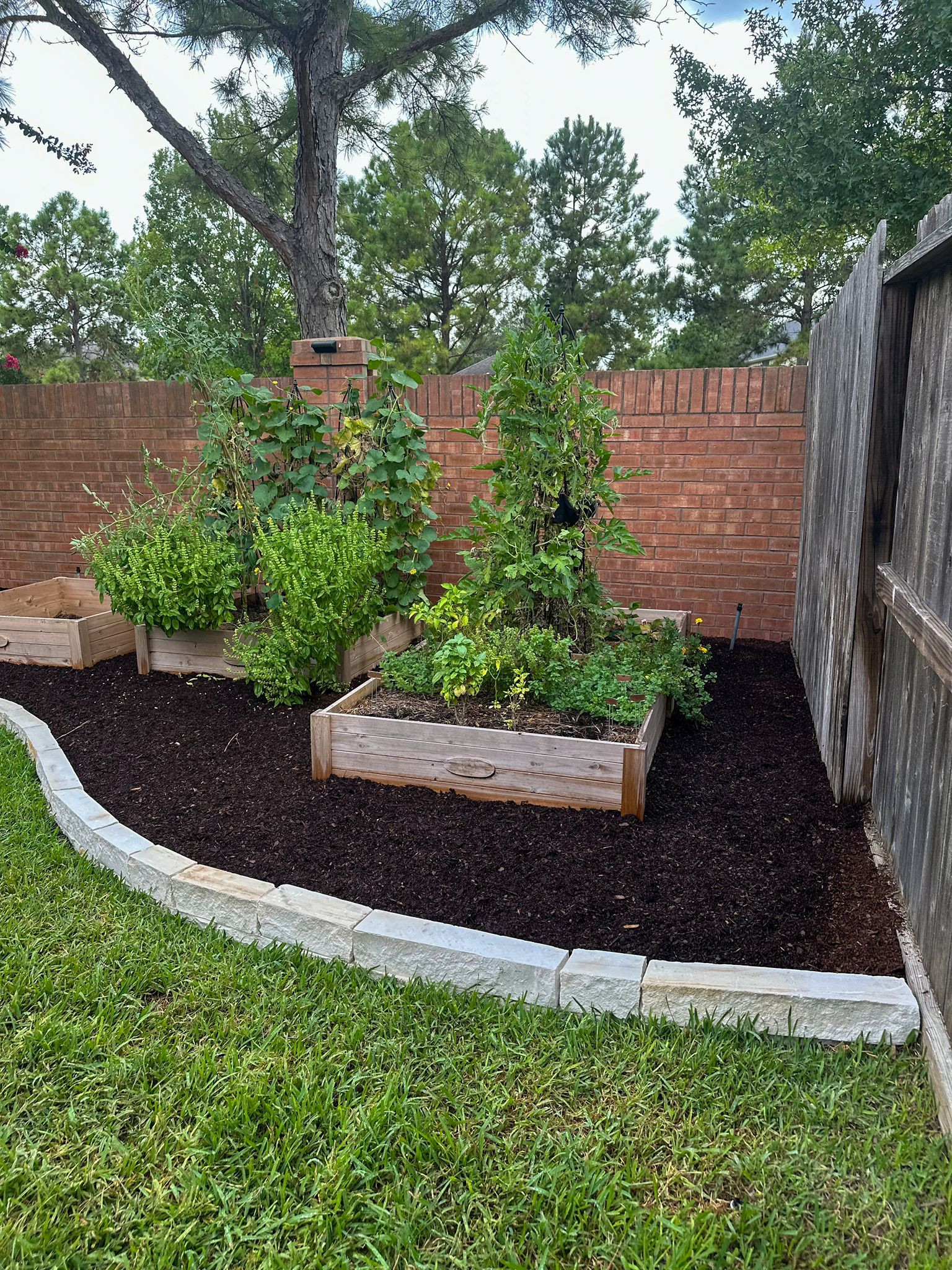 Backyard transformation with Pergola in Cinco Ranch!