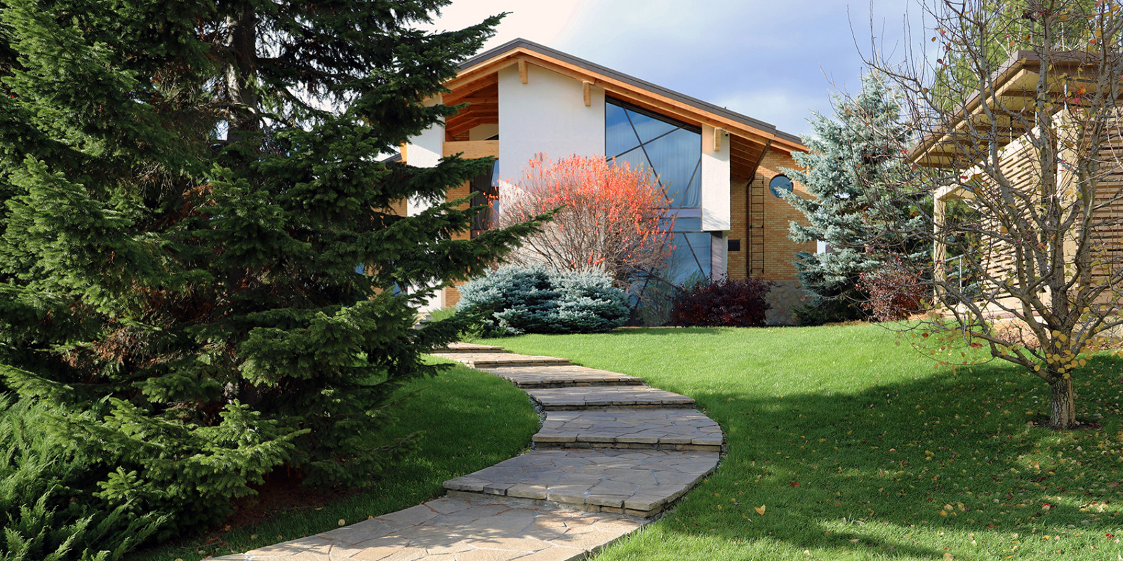 Сад с большими пихтами