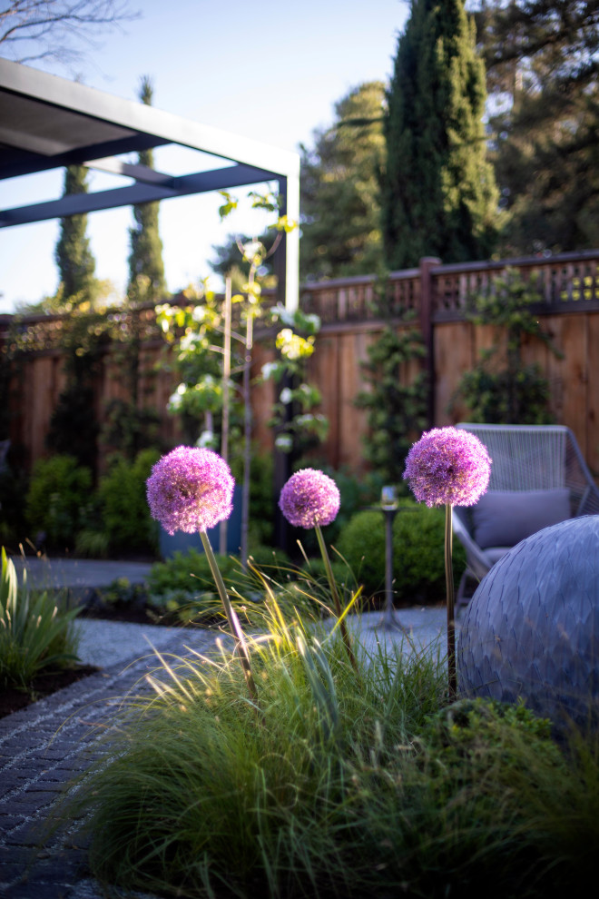 Kleiner, Halbschattiger Moderner Garten hinter dem Haus, im Frühling mit Natursteinplatten in San Francisco