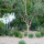 Kate Anne Landscape Design & Build
